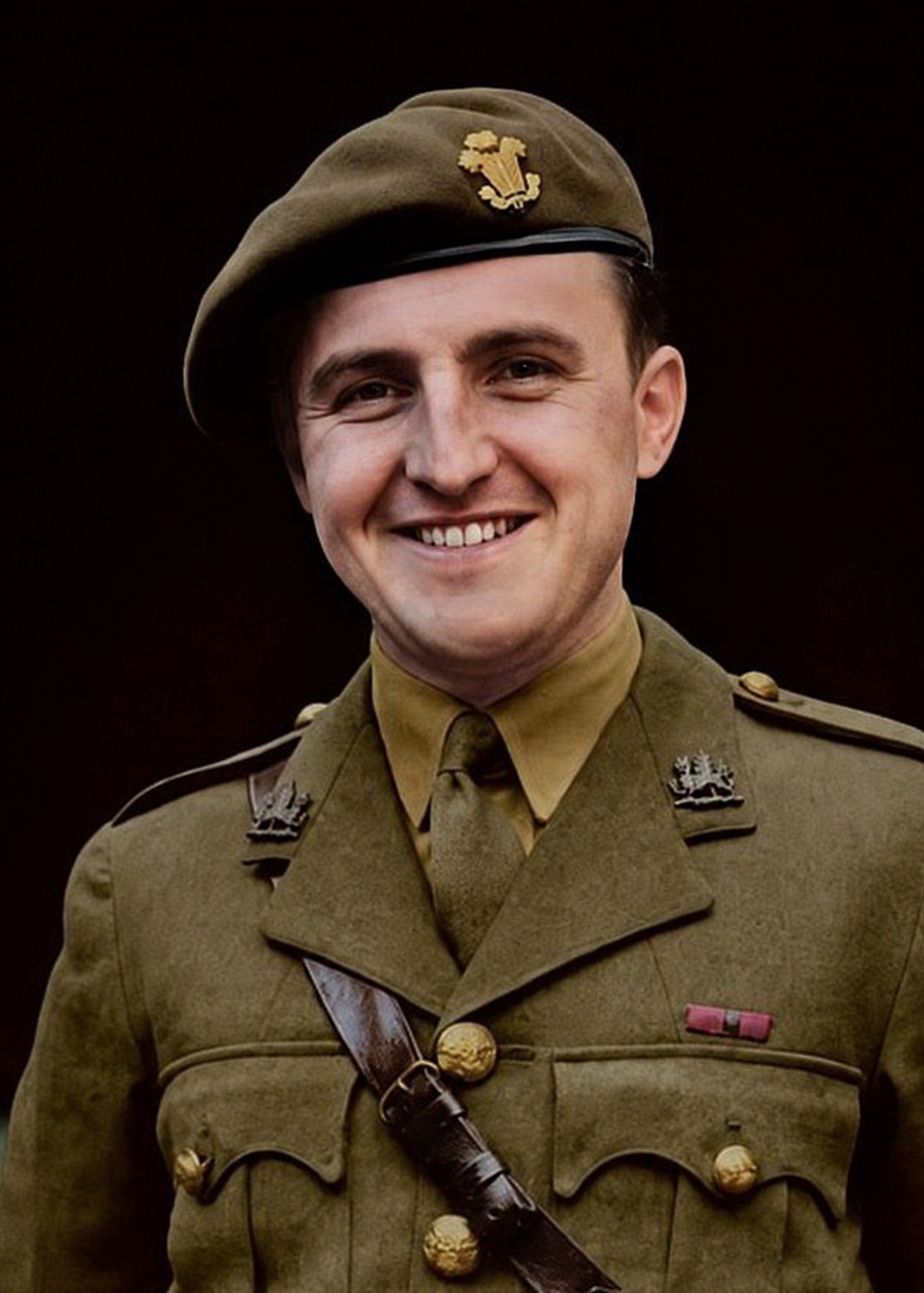 Sir Tasker Watkins