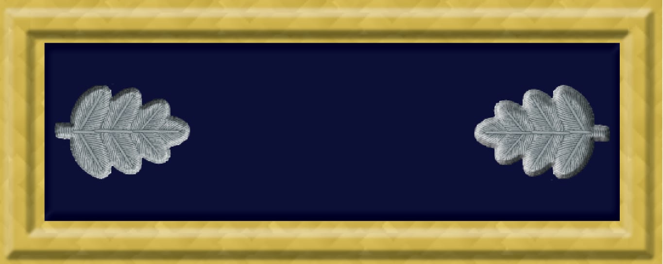 Lt Colonel (US) US Lt Colonel
