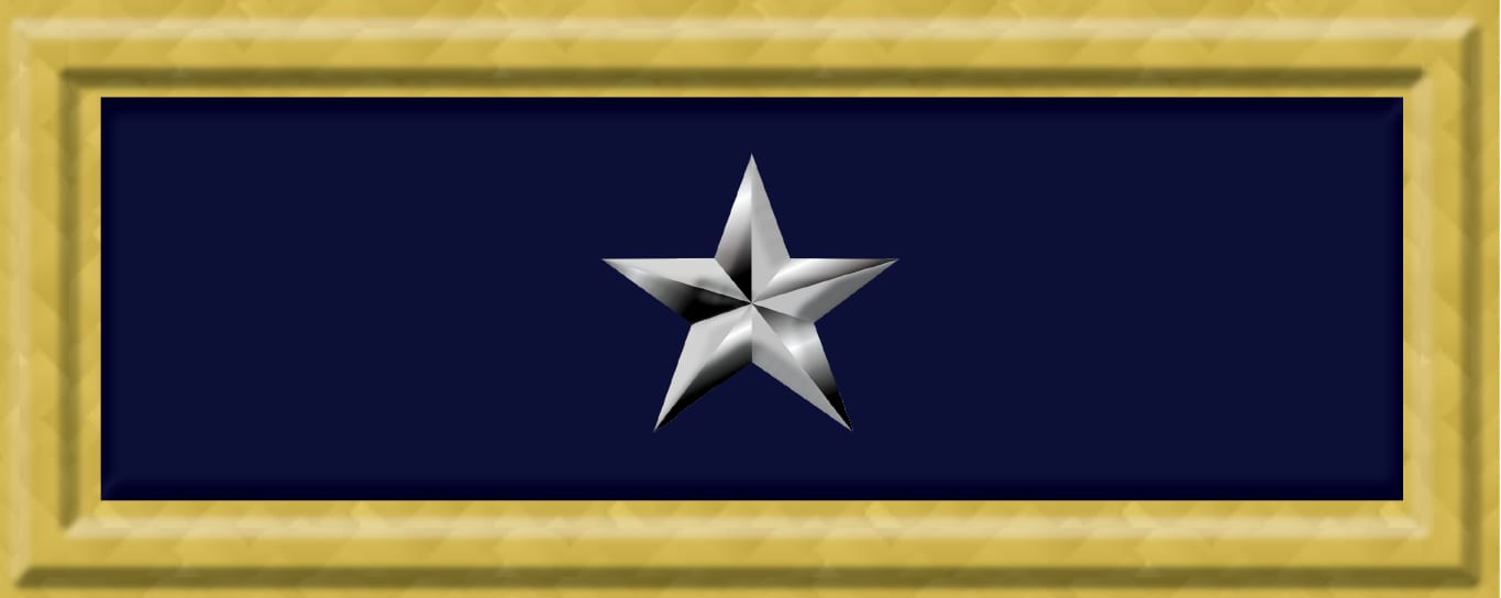 Brigadier General (US) US Brigadier General